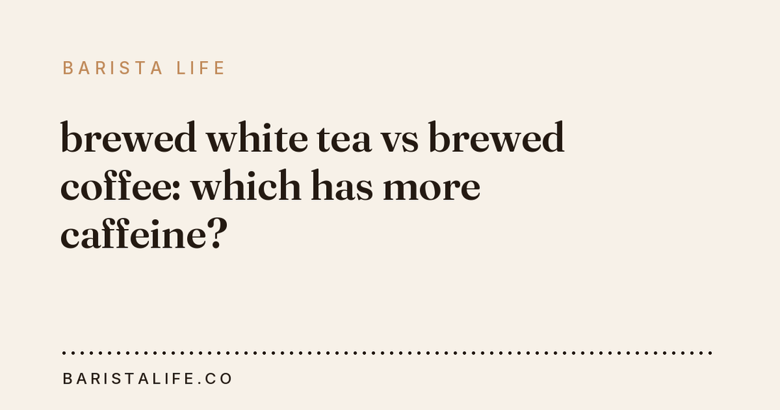 brewed white tea vs brewed coffee: which has more caffeine?