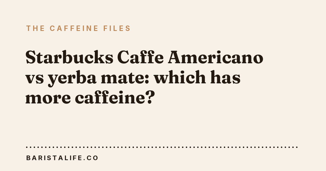 Starbucks Caffe Americano vs yerba mate: which has more caffeine?