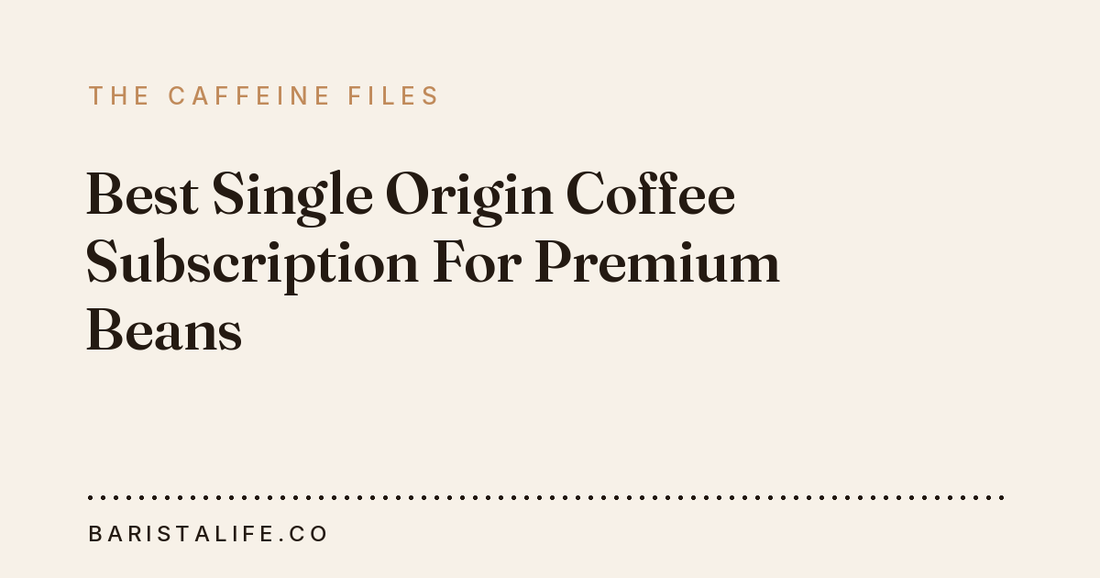Best Single Origin Coffee Subscription For Premium Beans
