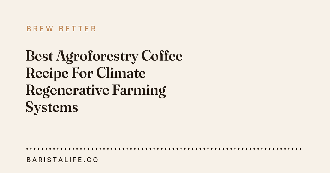 Best Agroforestry Coffee Recipe For Climate Regenerative Farming Systems