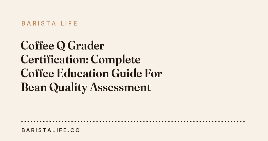 Coffee Q Grader Certification: Complete Coffee Education Guide For Bean Quality Assessment