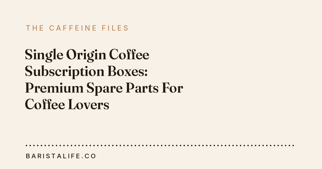 Single Origin Coffee Subscription Boxes: Premium Spare Parts For Coffee Lovers