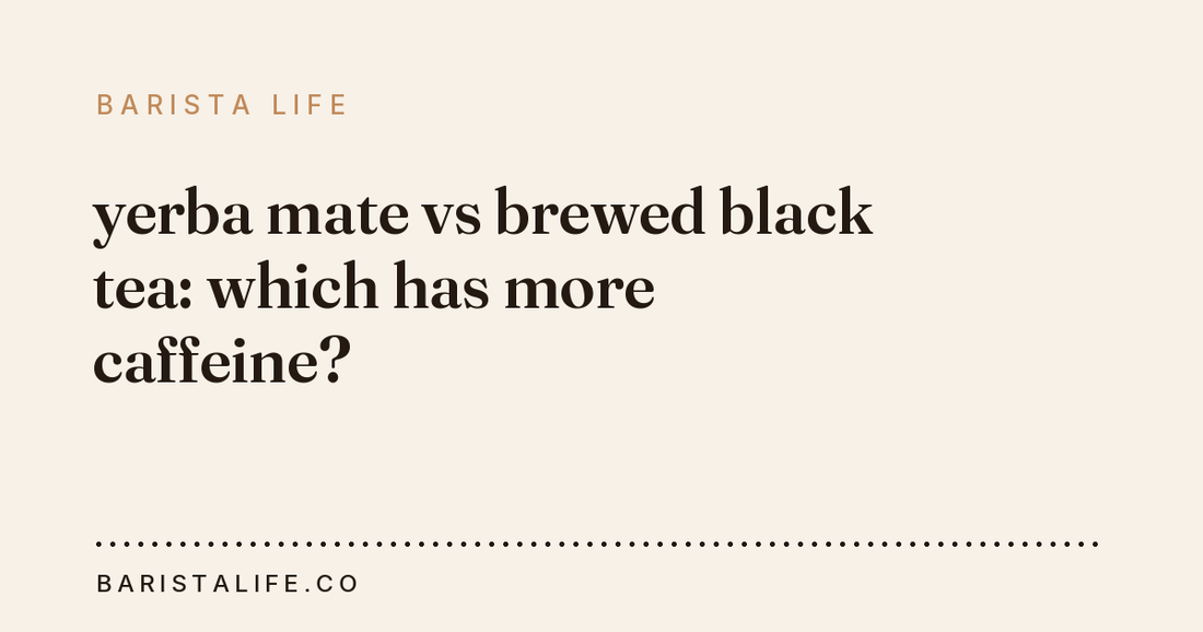 yerba mate vs brewed black tea: which has more caffeine?