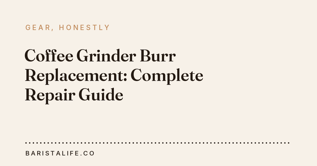 Coffee Grinder Burr Replacement: Complete Repair Guide