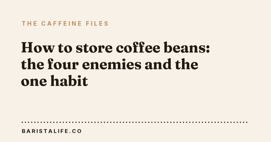 How to store coffee beans: the four enemies and the one habit