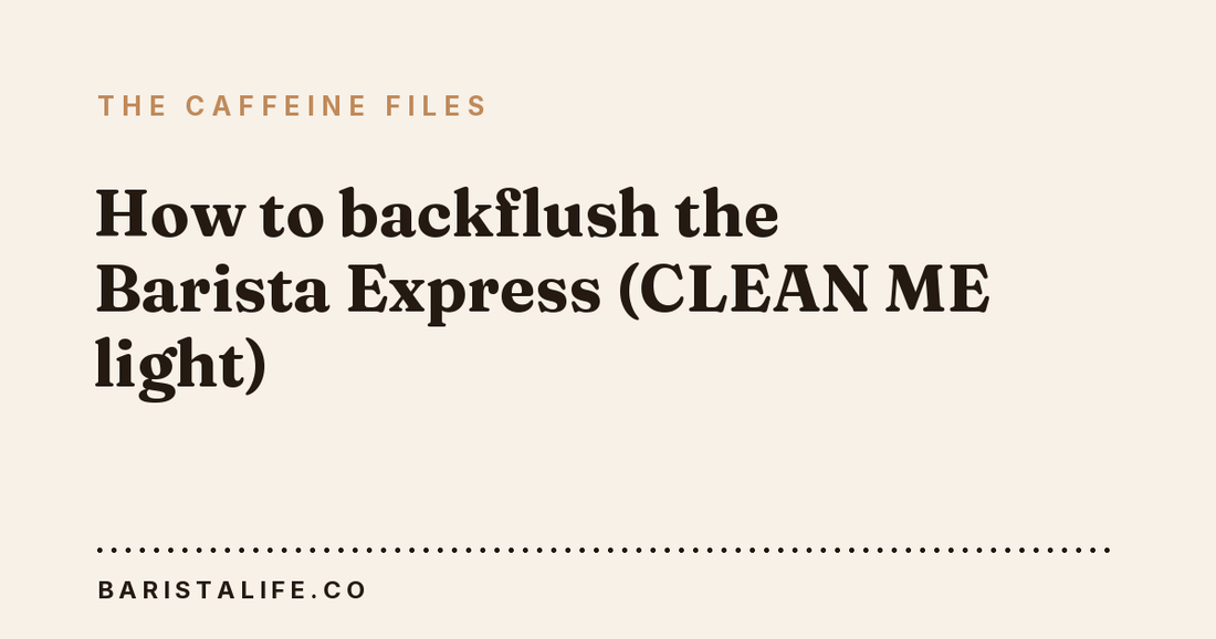 How to backflush the Barista Express (CLEAN ME light)
