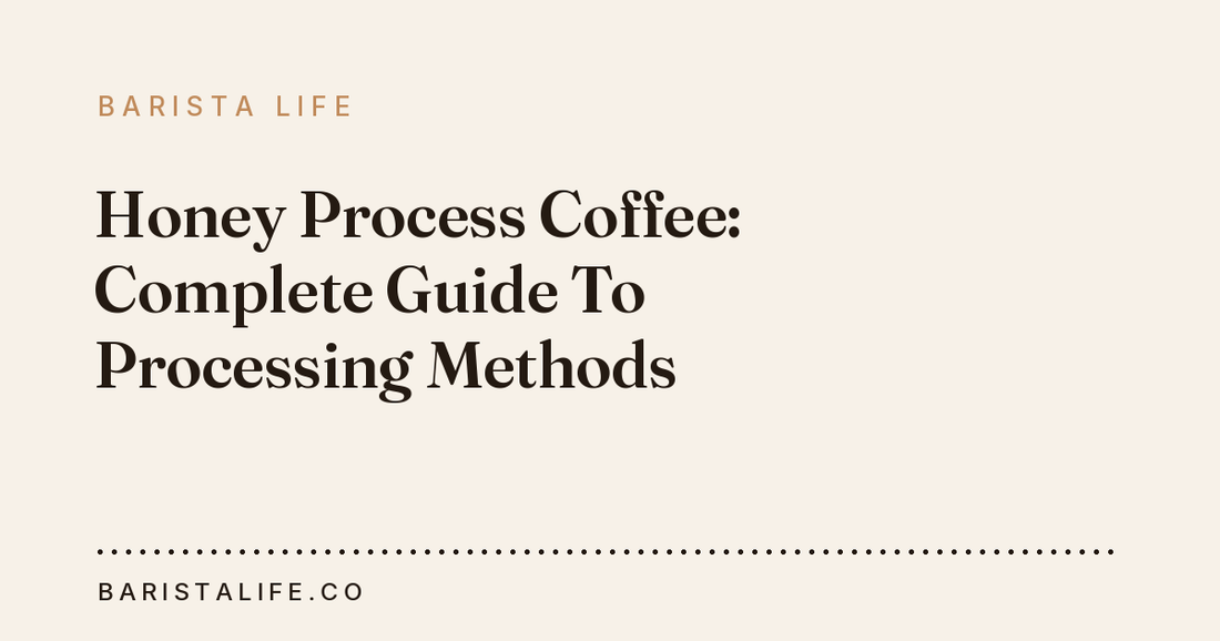 Honey Process Coffee: Complete Guide To Processing Methods