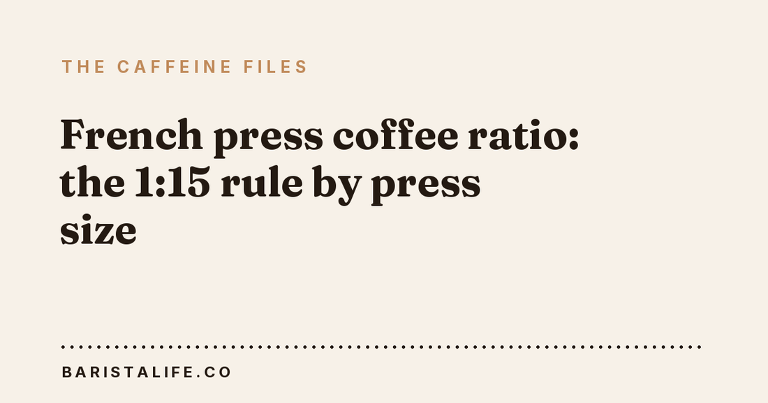 French press coffee ratio: the 1:15 rule by press size