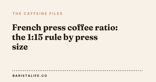 French press coffee ratio: the 1:15 rule by press size