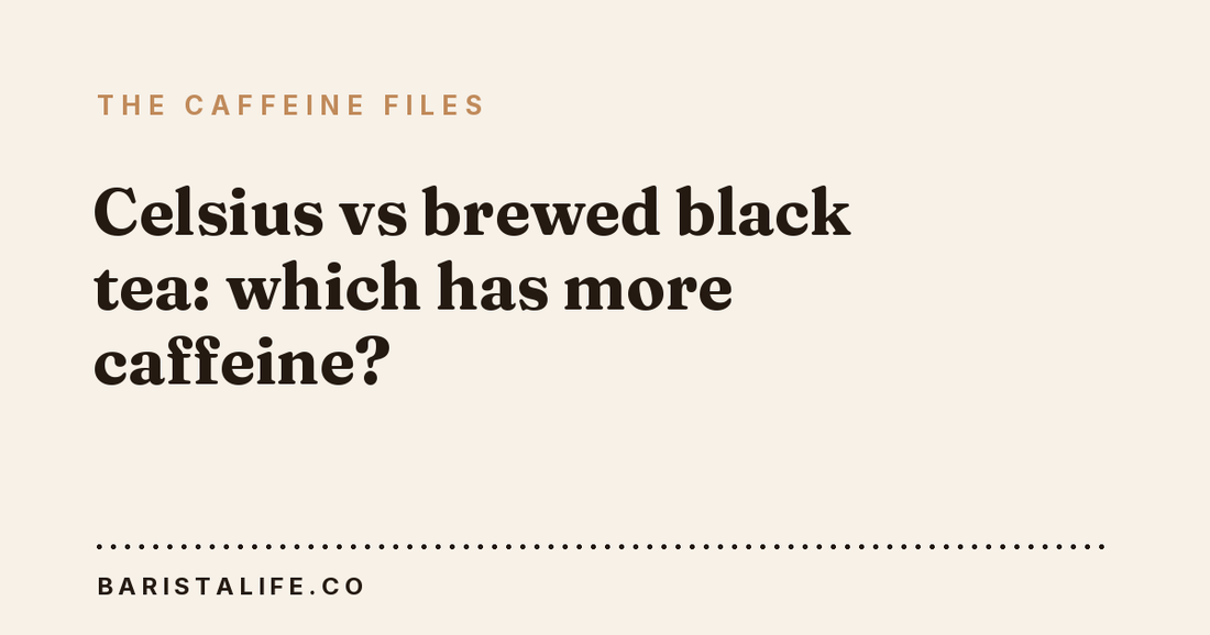 Celsius vs brewed black tea: which has more caffeine?