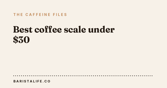Best coffee scale under $30