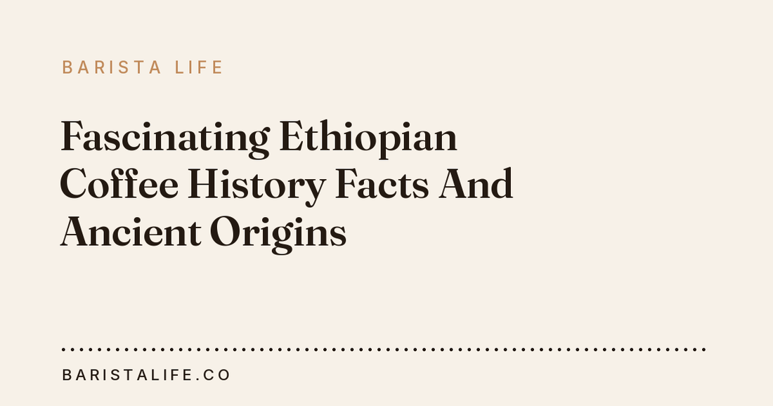 Fascinating Ethiopian Coffee History Facts And Ancient Origins