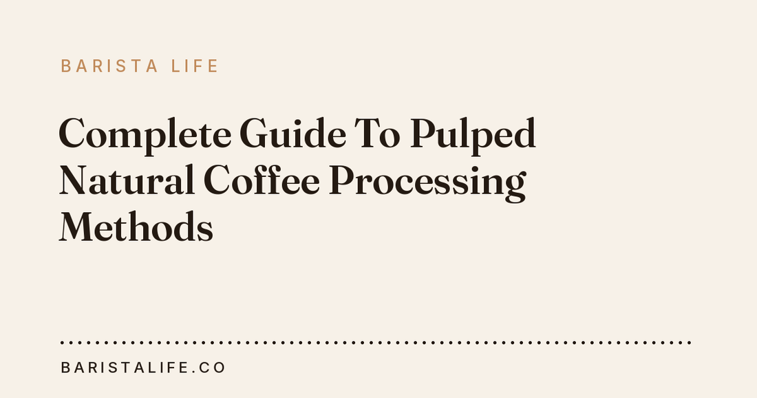 Complete Guide To Pulped Natural Coffee Processing Methods