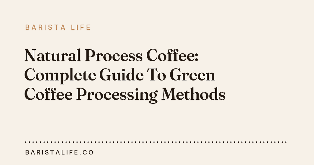 Natural Process Coffee: Complete Guide To Green Coffee Processing Methods