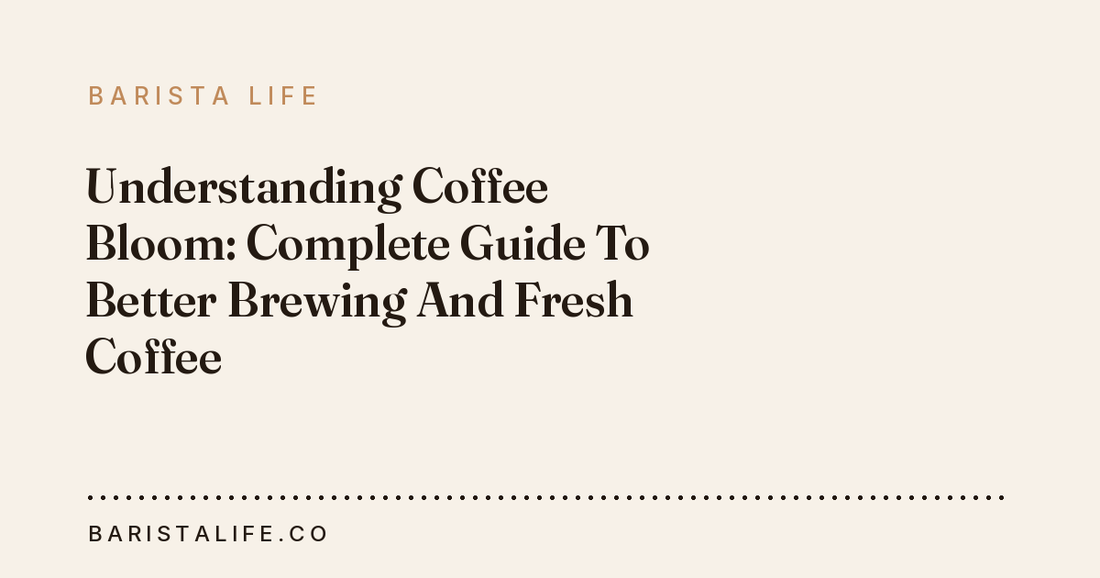 Understanding Coffee Bloom: Complete Guide To Better Brewing And Fresh Coffee