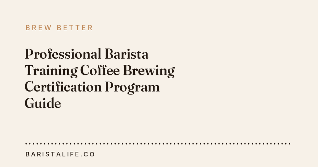 Professional Barista Training Coffee Brewing Certification Program Guide