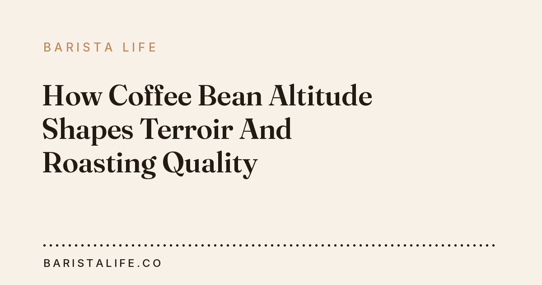 How Coffee Bean Altitude Shapes Terroir And Roasting Quality