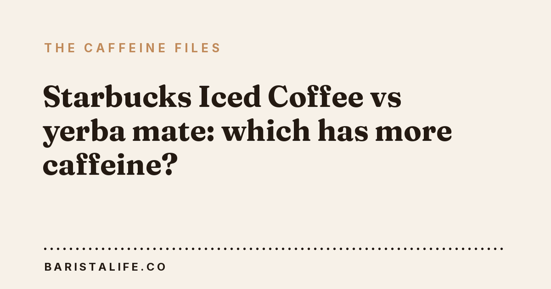 Starbucks Iced Coffee vs yerba mate: which has more caffeine?