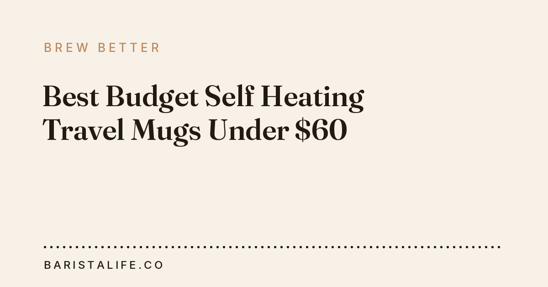 Best Budget Self Heating Travel Mugs Under $60