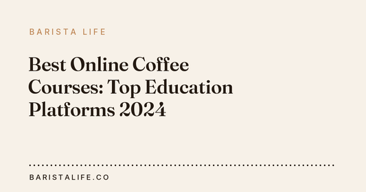 Best Online Coffee Courses: Top Education Platforms 2024