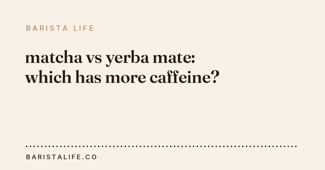 matcha vs yerba mate: which has more caffeine?