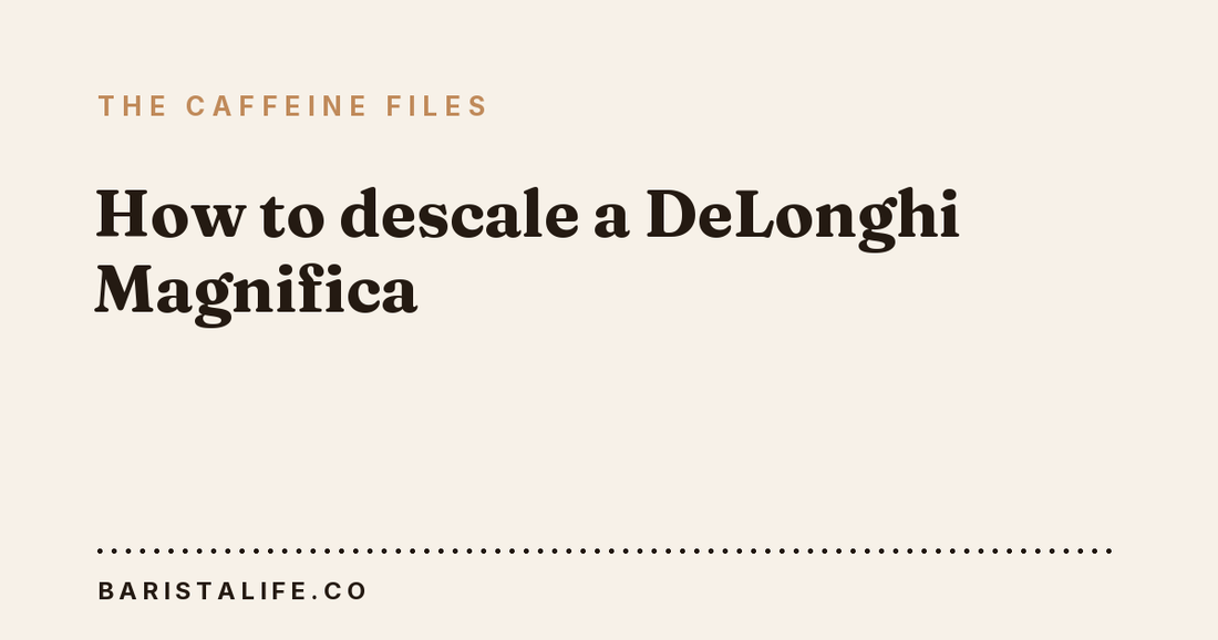 How to descale a DeLonghi Magnifica