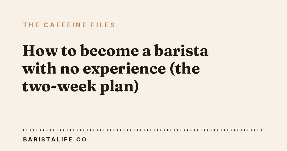 How to become a barista with no experience (the two-week plan)