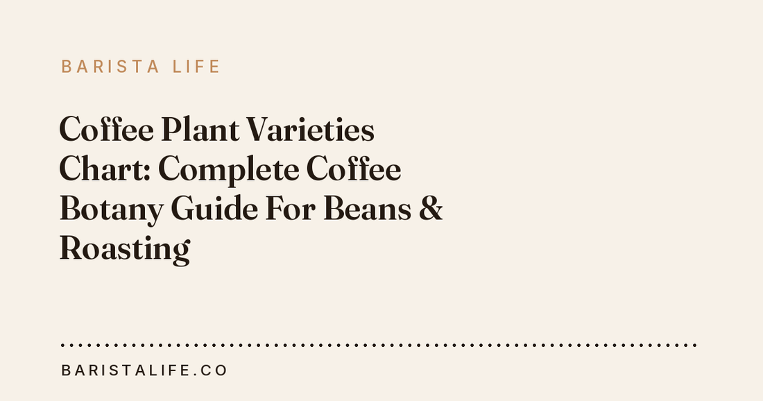 Coffee Plant Varieties Chart: Complete Coffee Botany Guide For Beans & Roasting