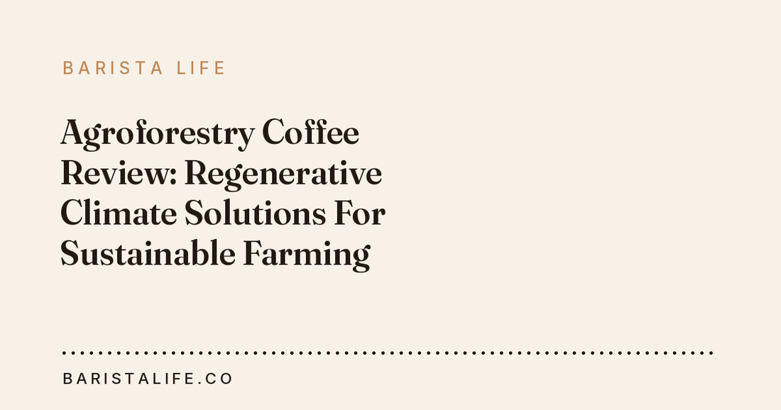 Agroforestry Coffee Review: Regenerative Climate Solutions For Sustainable Farming