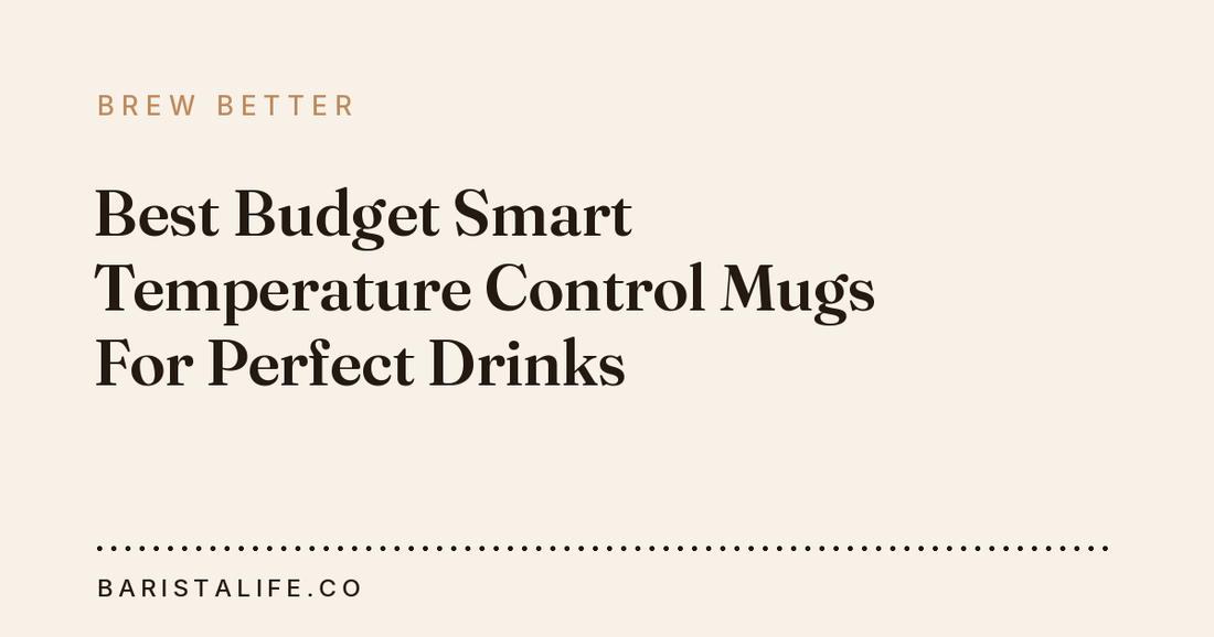 Best Budget Smart Temperature Control Mugs For Perfect Drinks