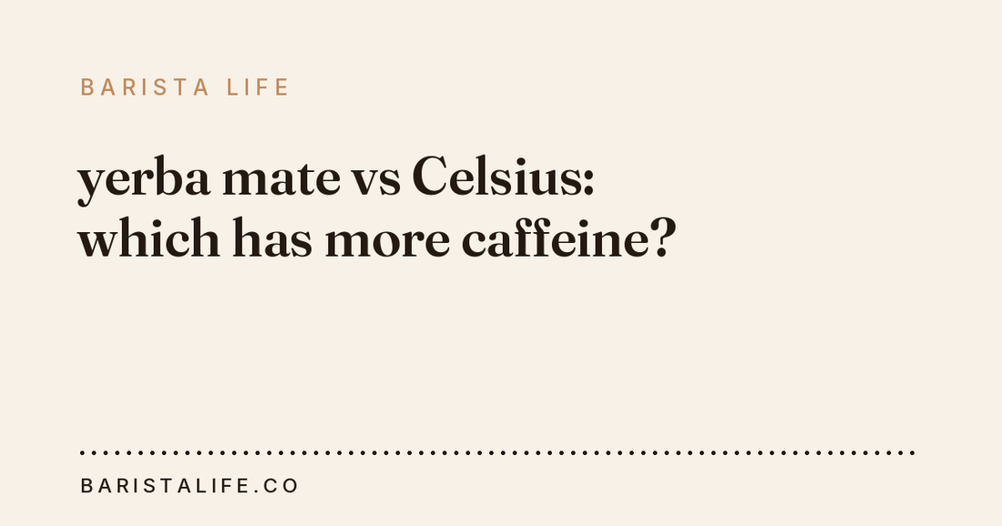 yerba mate vs Celsius: which has more caffeine?