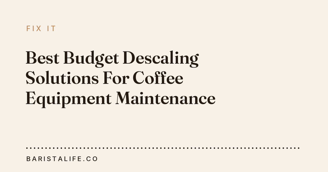 Best Budget Descaling Solutions For Coffee Equipment Maintenance