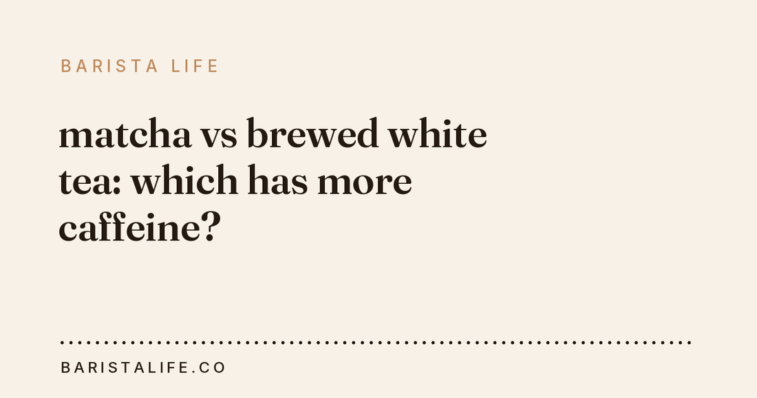 matcha vs brewed white tea: which has more caffeine?