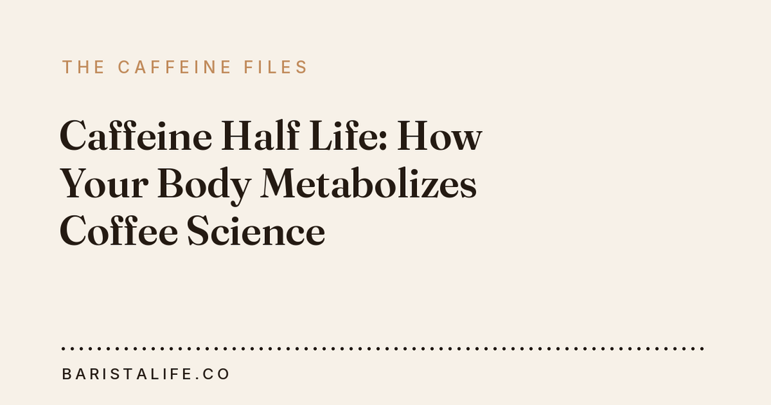 Caffeine Half Life: How Your Body Metabolizes Coffee Science