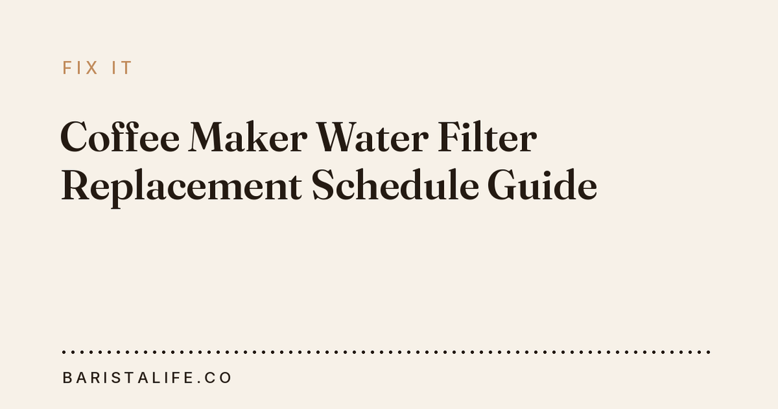 Coffee Maker Water Filter Replacement Schedule Guide