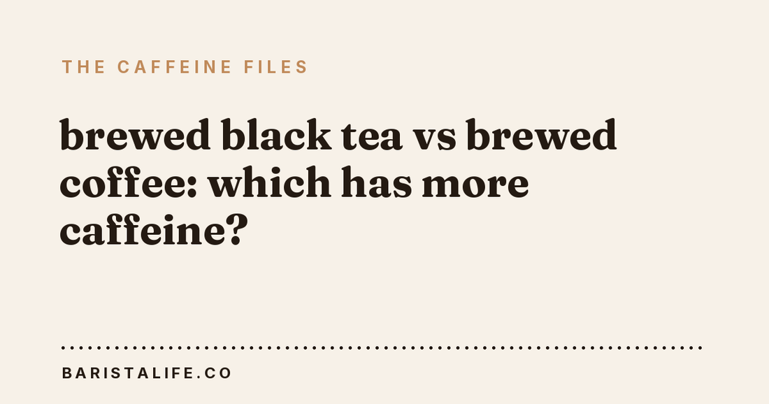 brewed black tea vs brewed coffee: which has more caffeine?