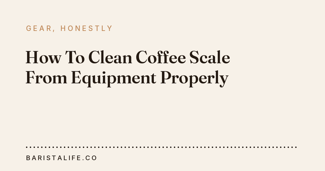 How To Clean Coffee Scale From Equipment Properly