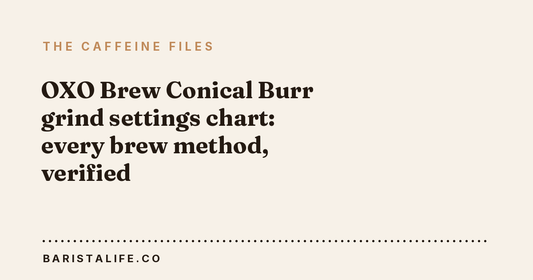OXO Brew Conical Burr grind settings chart: every brew method, verified