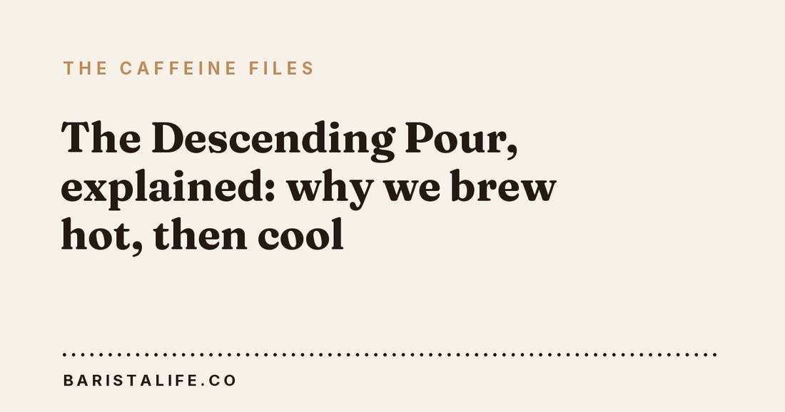 The Descending Pour, explained: why we brew hot, then cool
