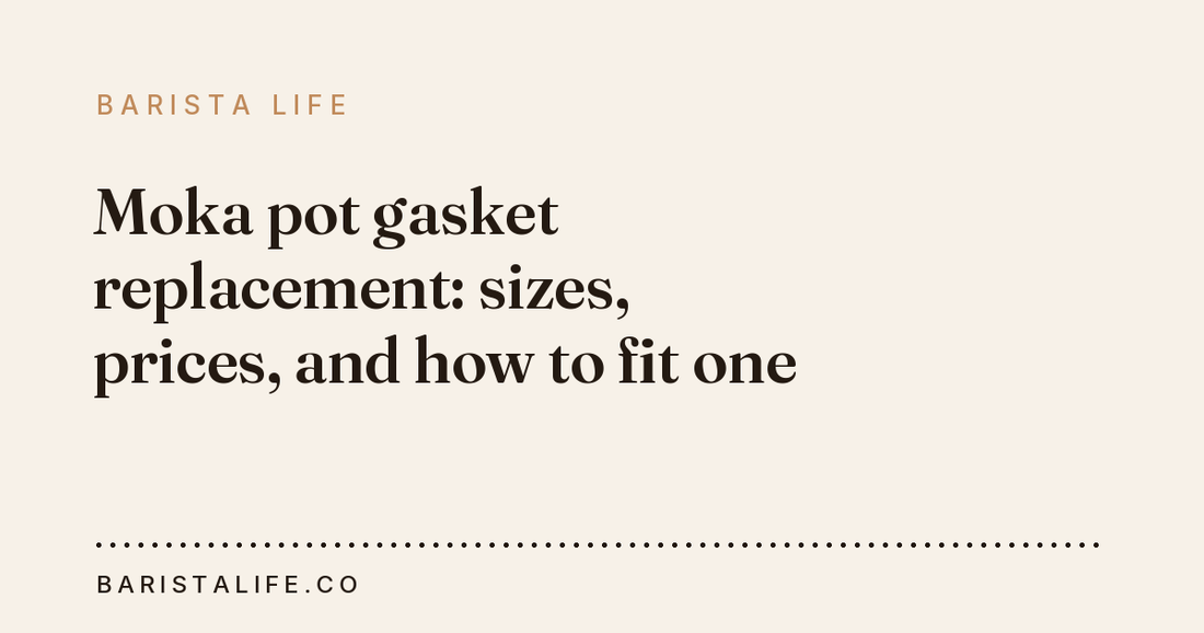 Moka pot gasket replacement: sizes, prices, and how to fit one
