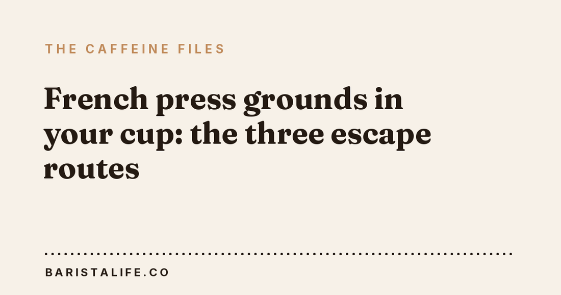 French press grounds in your cup: the three escape routes