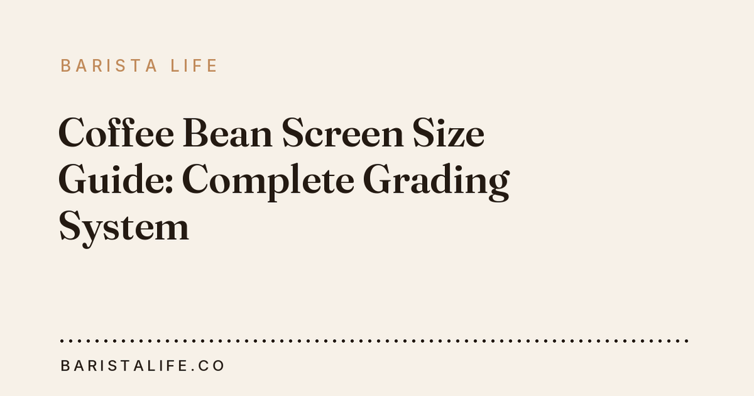 Coffee Bean Screen Size Guide: Complete Grading System
