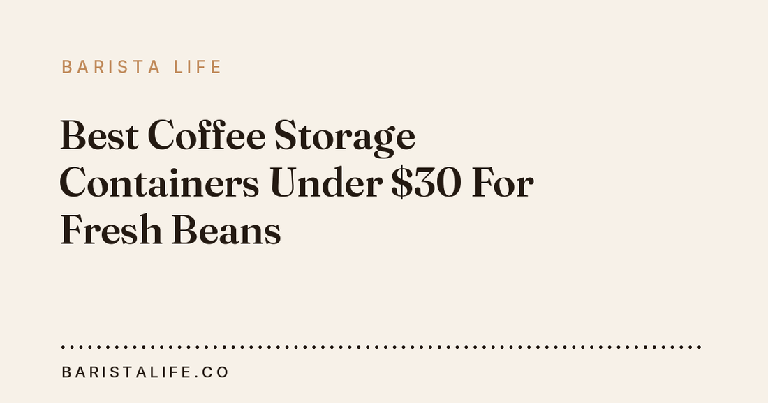Best Coffee Storage Containers Under $30 For Fresh Beans