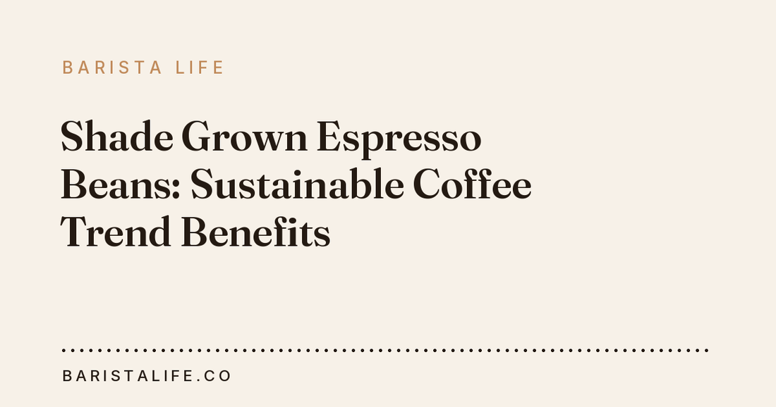 Shade Grown Espresso Beans: Sustainable Coffee Trend Benefits