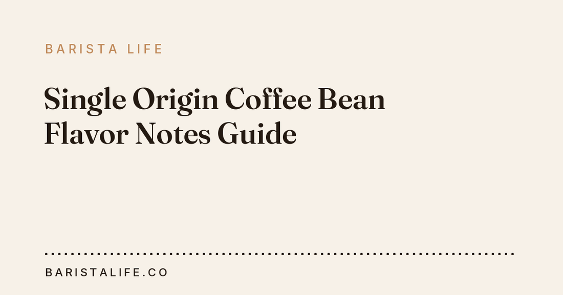 Single Origin Coffee Bean Flavor Notes Guide