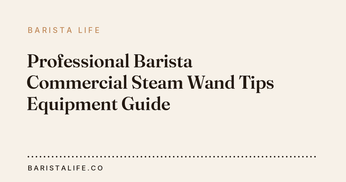 Professional Barista Commercial Steam Wand Tips Equipment Guide