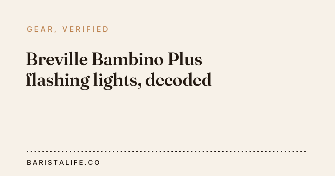 Breville Bambino Plus flashing lights, decoded