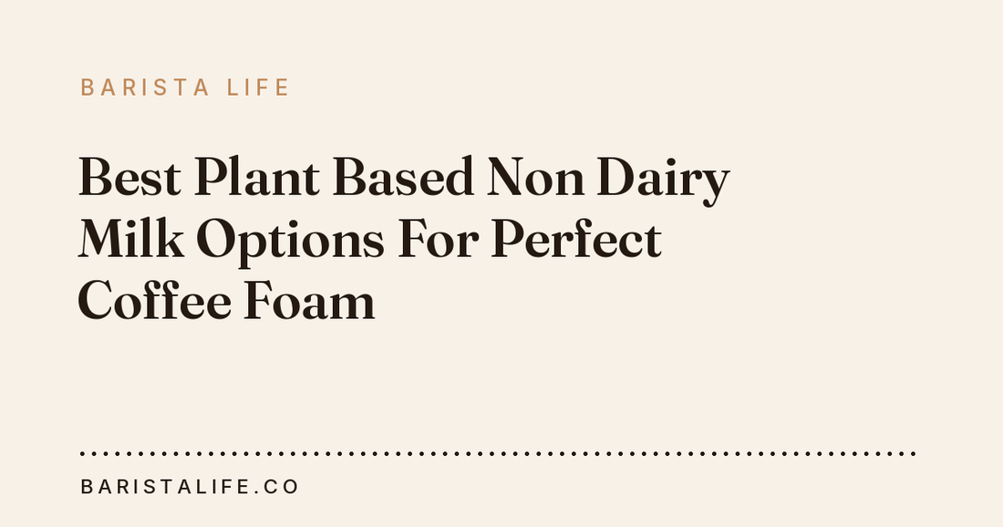 Best Plant Based Non Dairy Milk Options For Perfect Coffee Foam