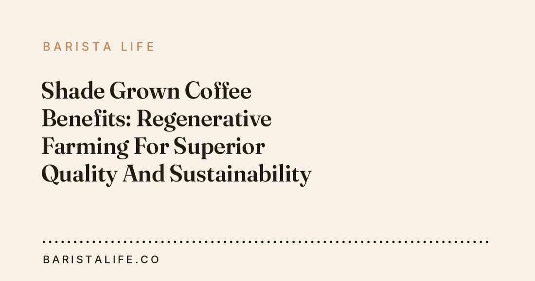 Shade Grown Coffee Benefits: Regenerative Farming For Superior Quality And Sustainability