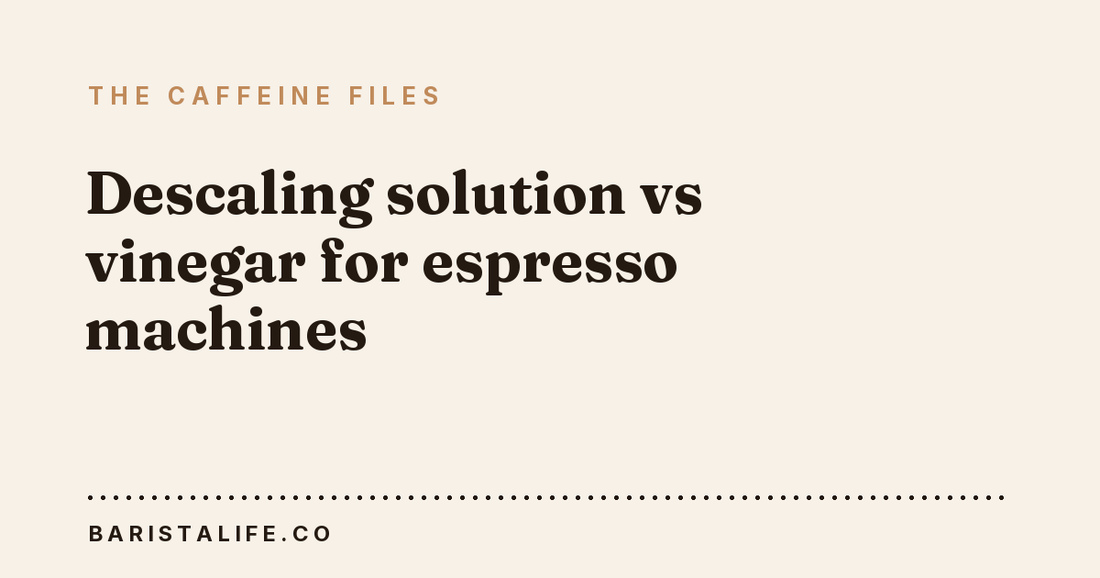 Descaling solution vs vinegar for espresso machines